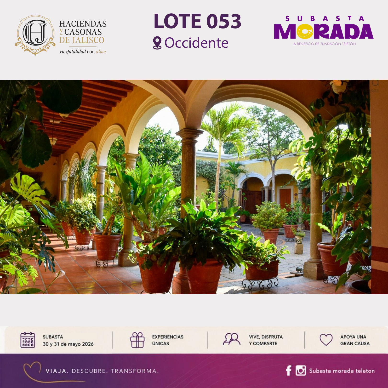 053 - Haciendas y Casonas de Jalisco - Image 3