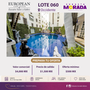 060 - EUROPEAN LIFE STYLE
Executive Suites & Gallery