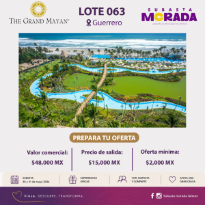 063 - THE GRAND MAYAN - VIDANTA