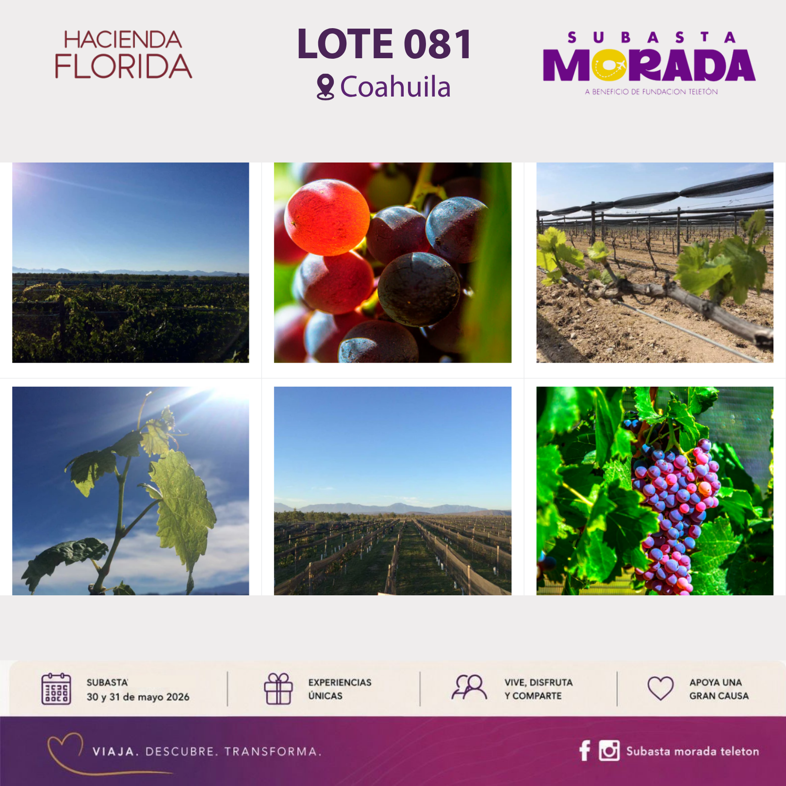 081 - Hacienda Florida - Image 3