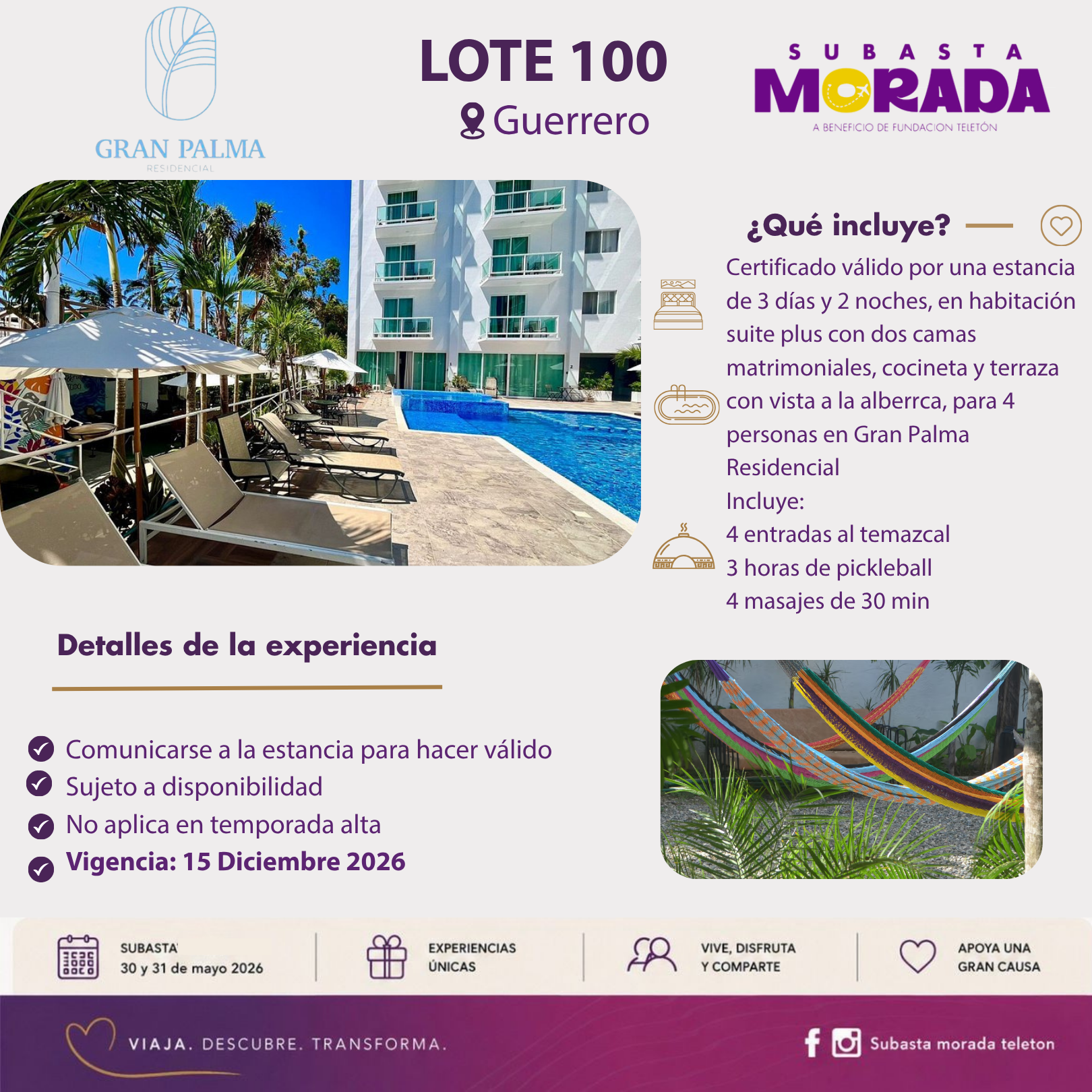 100 - GRAN PALMA - Image 2