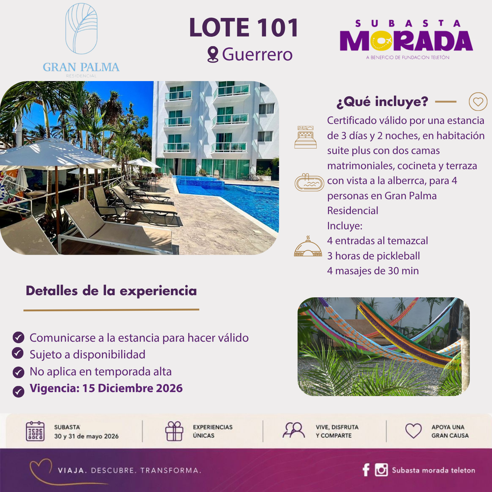 101 - GRAN PALMA - Image 2