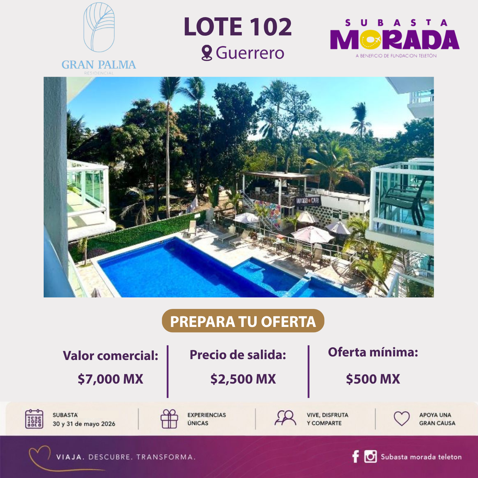 102 - GRAN PALMA