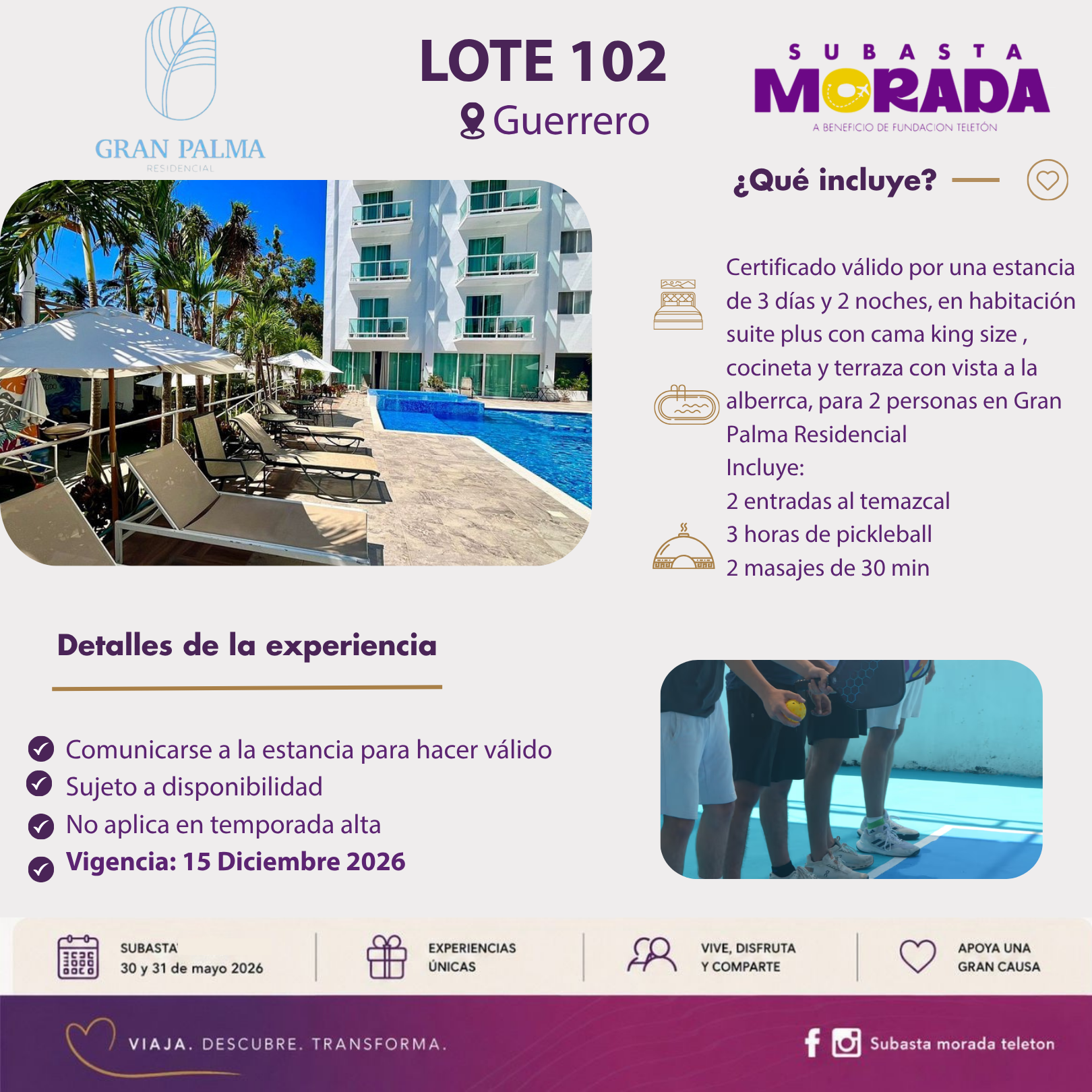 102 - GRAN PALMA - Image 2