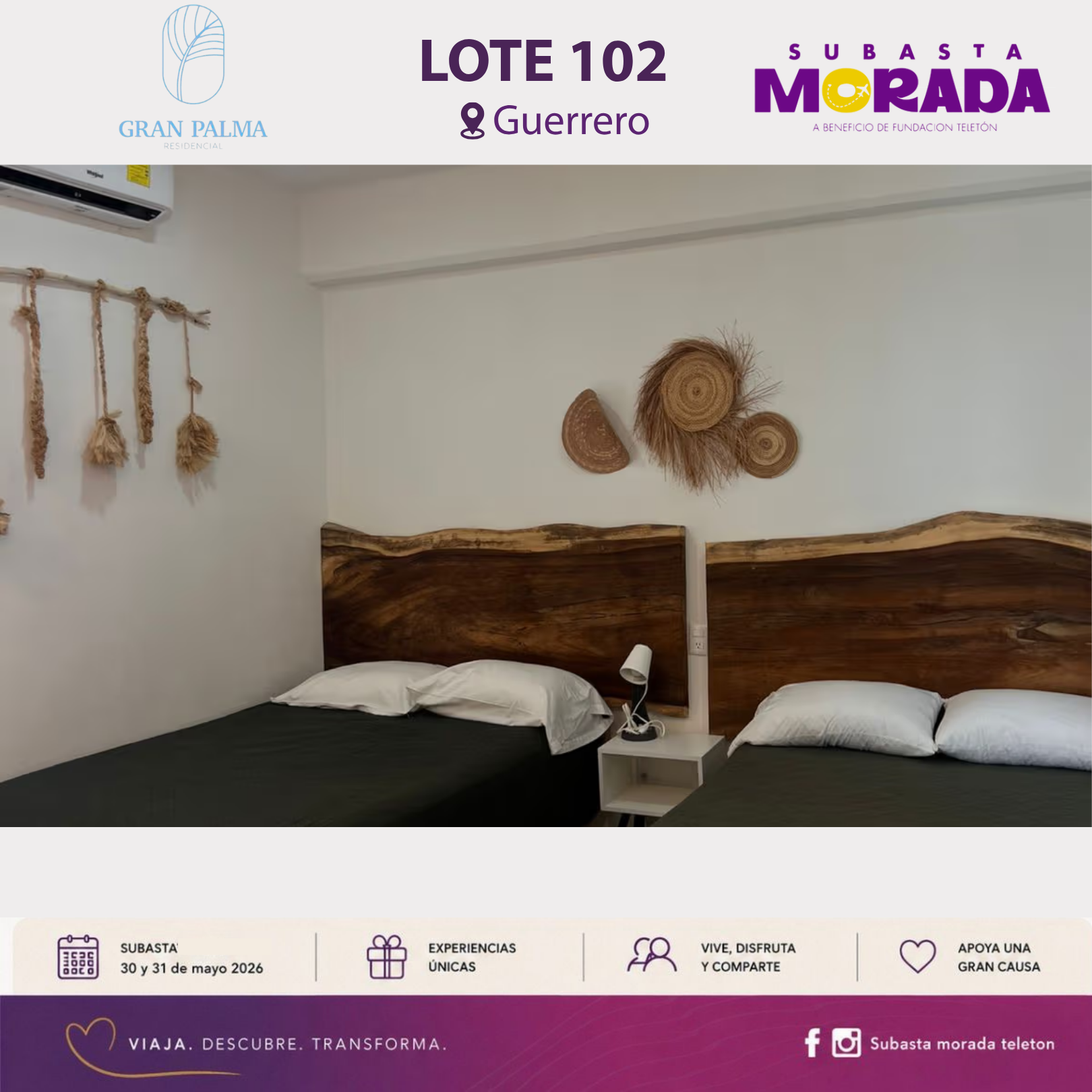 102 - GRAN PALMA - Image 3