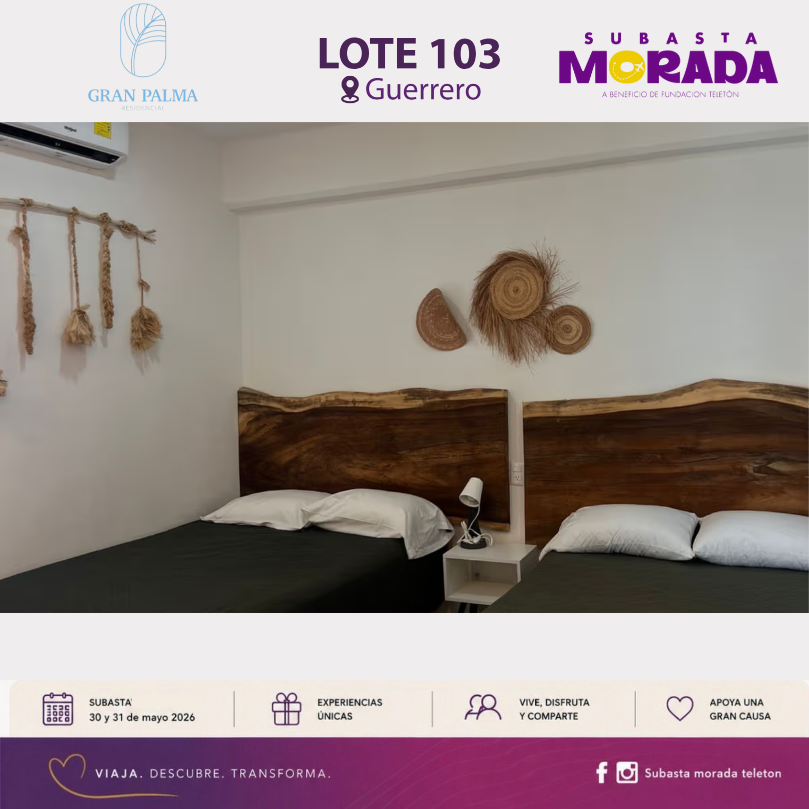 103 - GRAN PALMA - Image 3